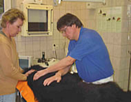 Physiotherapie Physiotherapie